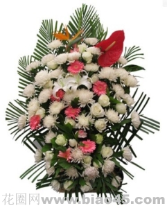 ppĺ-׾աõ塢ɫɴٺϡtơB,1.5ңЙn˼@