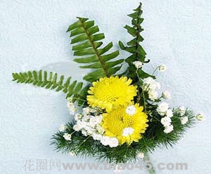 ػ 10-СS2䣬Ų3ƬMǡRS,10