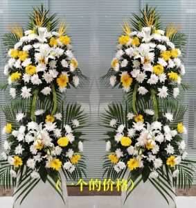 Qw-ջ̫ꖻٺϣɢβ~BȽMϣpӰ»@<Ứ@>