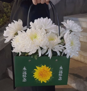 ǿտ-ջG~g<仨@>