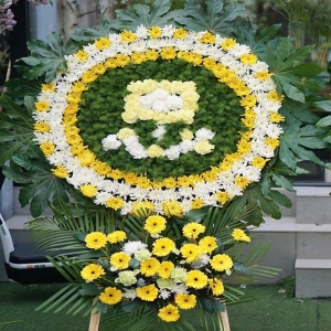 AͤQ঻Ȧ